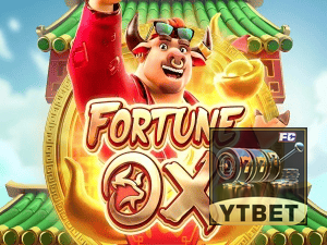 YTBET login — painel de entrada no app oficial