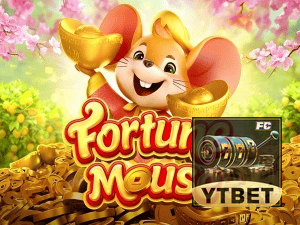 YTBET login — configurações de segurança e proteção de conta